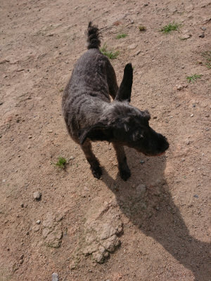 f:id:roukenhome-ann:20190624090401j:plain