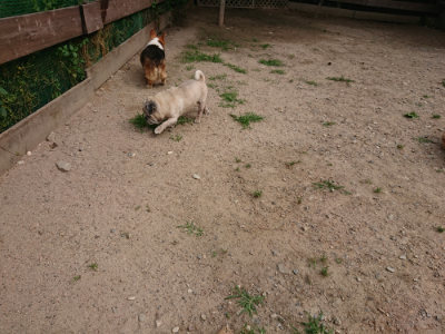 f:id:roukenhome-ann:20190624090415j:plain