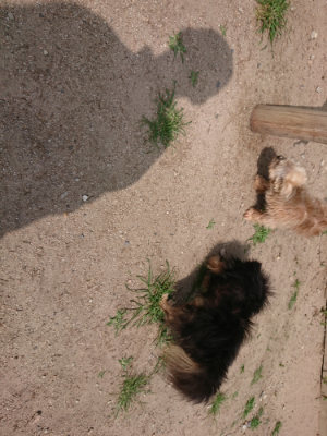 f:id:roukenhome-ann:20190624090420j:plain