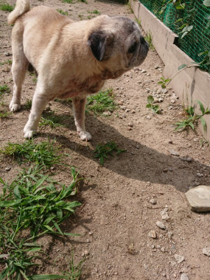 f:id:roukenhome-ann:20190624090435j:plain