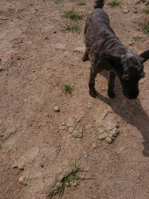 f:id:roukenhome-ann:20190624090508j:plain