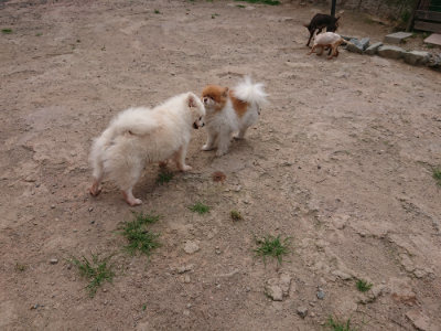 f:id:roukenhome-ann:20190624090541j:plain