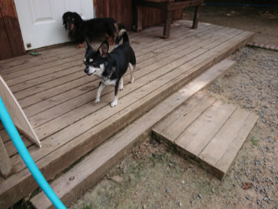 f:id:roukenhome-ann:20190624090622j:plain