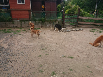 f:id:roukenhome-ann:20190624141354j:plain