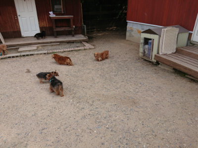 f:id:roukenhome-ann:20190624141507j:plain