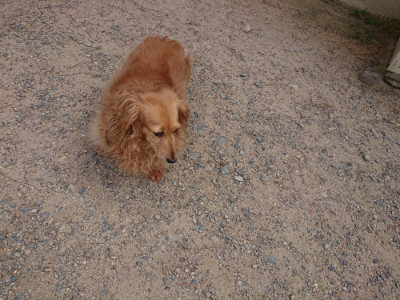 f:id:roukenhome-ann:20190624141512j:plain