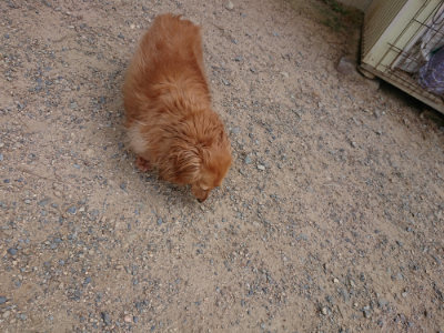 f:id:roukenhome-ann:20190624141518j:plain