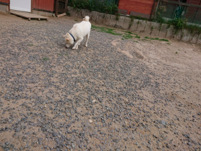 f:id:roukenhome-ann:20190624141628j:plain