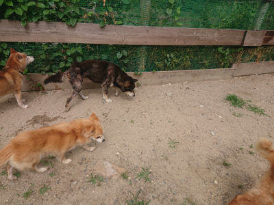 f:id:roukenhome-ann:20190624141712j:plain