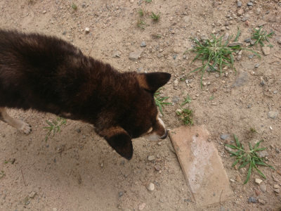 f:id:roukenhome-ann:20190624141827j:plain