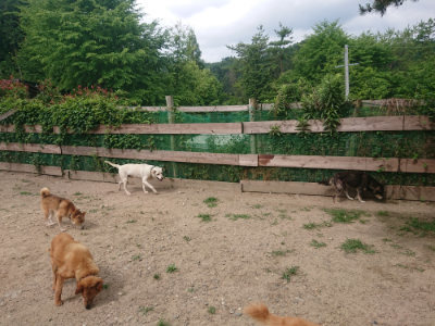 f:id:roukenhome-ann:20190624141851j:plain