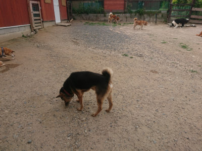 f:id:roukenhome-ann:20190624141918j:plain