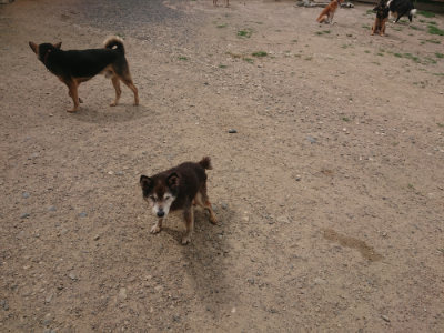 f:id:roukenhome-ann:20190624141927j:plain