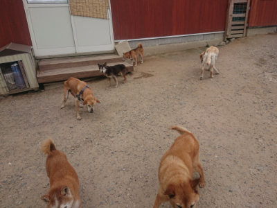 f:id:roukenhome-ann:20190624150937j:plain