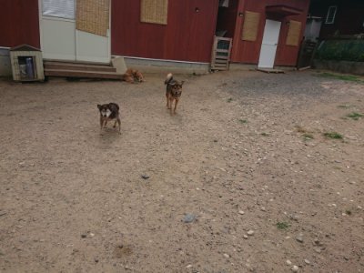 f:id:roukenhome-ann:20190624151004j:plain