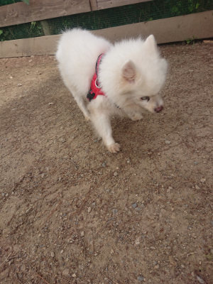 f:id:roukenhome-ann:20190624151100j:plain