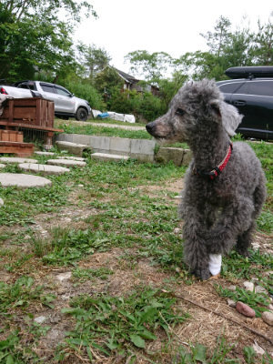 f:id:roukenhome-ann:20190624151115j:plain