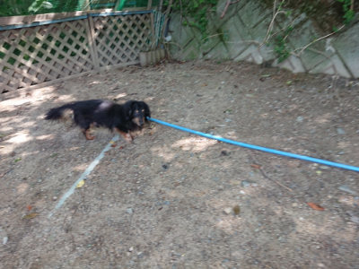 f:id:roukenhome-ann:20190624151159j:plain