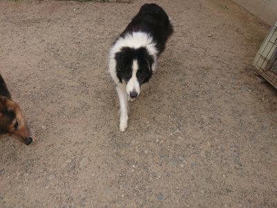 f:id:roukenhome-ann:20190624151405j:plain