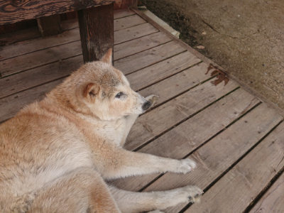 f:id:roukenhome-ann:20190624154128j:plain