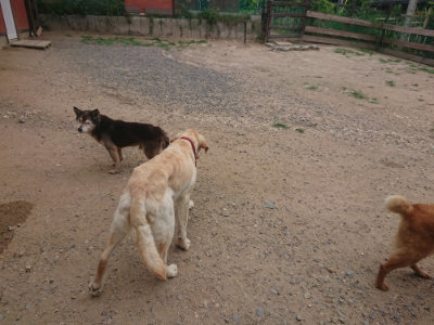 f:id:roukenhome-ann:20190624154230j:plain