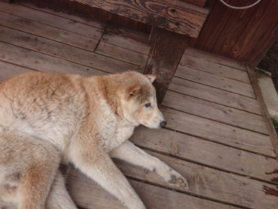 f:id:roukenhome-ann:20190624154256j:plain