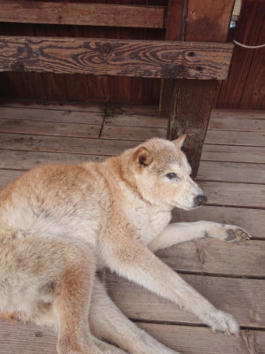 f:id:roukenhome-ann:20190624154337j:plain