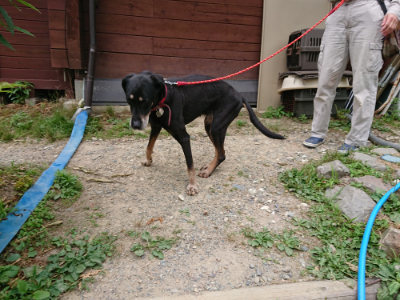 f:id:roukenhome-ann:20190624154345j:plain