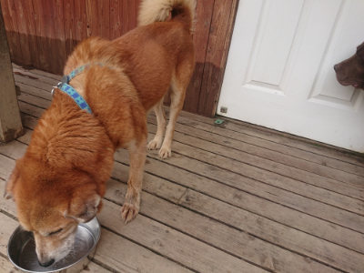 f:id:roukenhome-ann:20190624154443j:plain