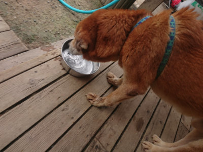 f:id:roukenhome-ann:20190624154452j:plain