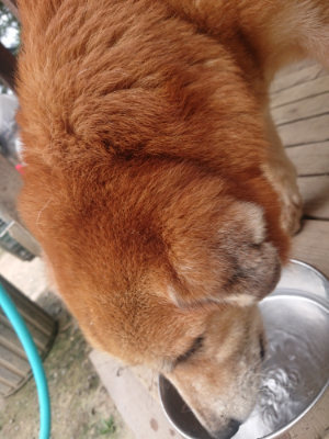 f:id:roukenhome-ann:20190624154502j:plain