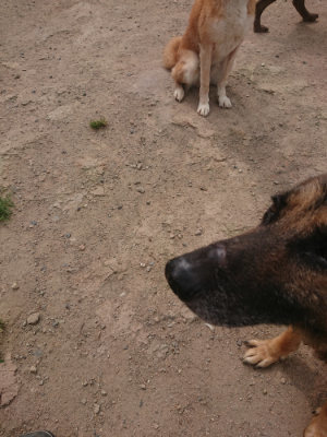 f:id:roukenhome-ann:20190624155102j:plain