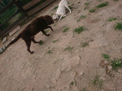 f:id:roukenhome-ann:20190624155120j:plain