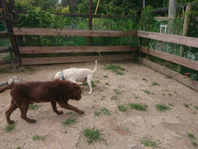 f:id:roukenhome-ann:20190624155125j:plain