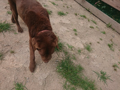 f:id:roukenhome-ann:20190624155134j:plain