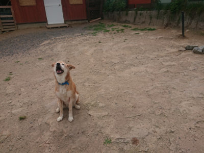 f:id:roukenhome-ann:20190624155154j:plain