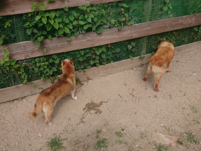 f:id:roukenhome-ann:20190624155234j:plain