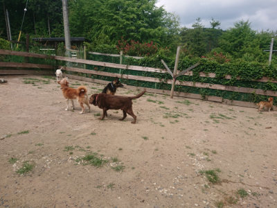 f:id:roukenhome-ann:20190624155253j:plain