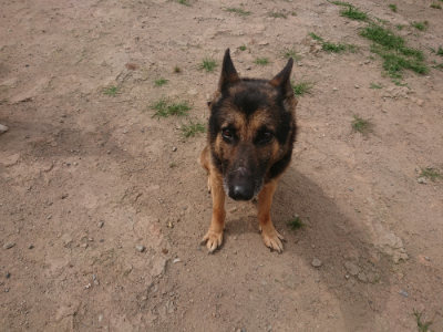 f:id:roukenhome-ann:20190624155321j:plain