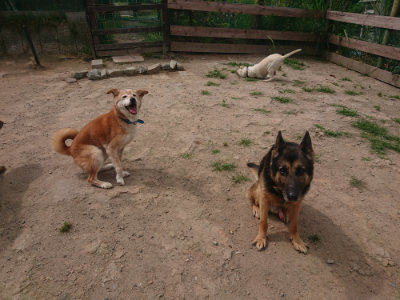 f:id:roukenhome-ann:20190624155331j:plain