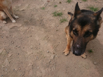 f:id:roukenhome-ann:20190624155340j:plain