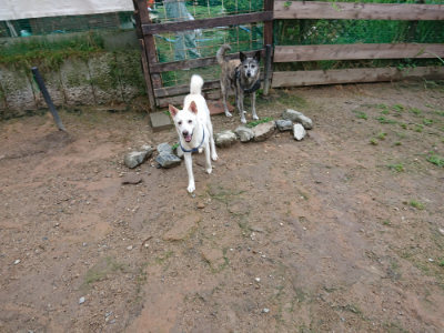 f:id:roukenhome-ann:20190630194519j:plain f:id:roukenhome-ann:20190630194519j:plain
