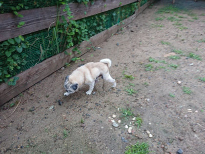 f:id:roukenhome-ann:20190630194532j:plain f:id:roukenhome-ann:20190630194532j:plain