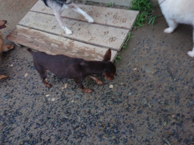 f:id:roukenhome-ann:20190630194548j:plain f:id:roukenhome-ann:20190630194548j:plain
