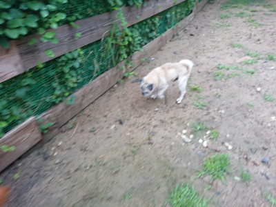 f:id:roukenhome-ann:20190630194556j:plain f:id:roukenhome-ann:20190630194556j:plain