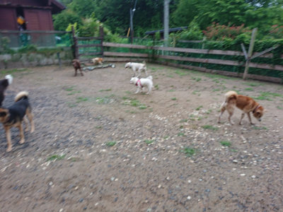 f:id:roukenhome-ann:20190630194603j:plain f:id:roukenhome-ann:20190630194603j:plain
