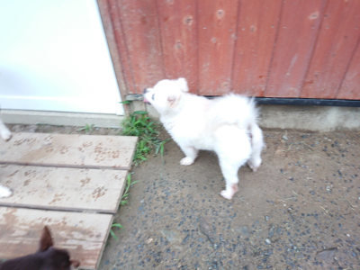 f:id:roukenhome-ann:20190630194613j:plain f:id:roukenhome-ann:20190630194613j:plain