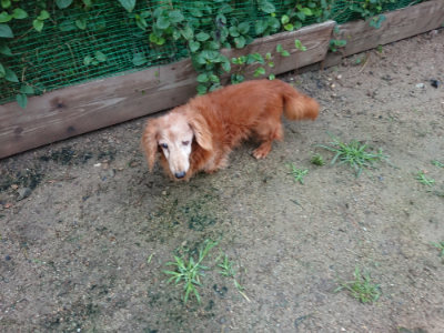 f:id:roukenhome-ann:20190630194712j:plain f:id:roukenhome-ann:20190630194712j:plain