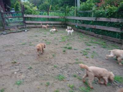 f:id:roukenhome-ann:20190630194757j:plain f:id:roukenhome-ann:20190630194757j:plain