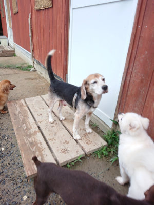 f:id:roukenhome-ann:20190630194805j:plain f:id:roukenhome-ann:20190630194805j:plain